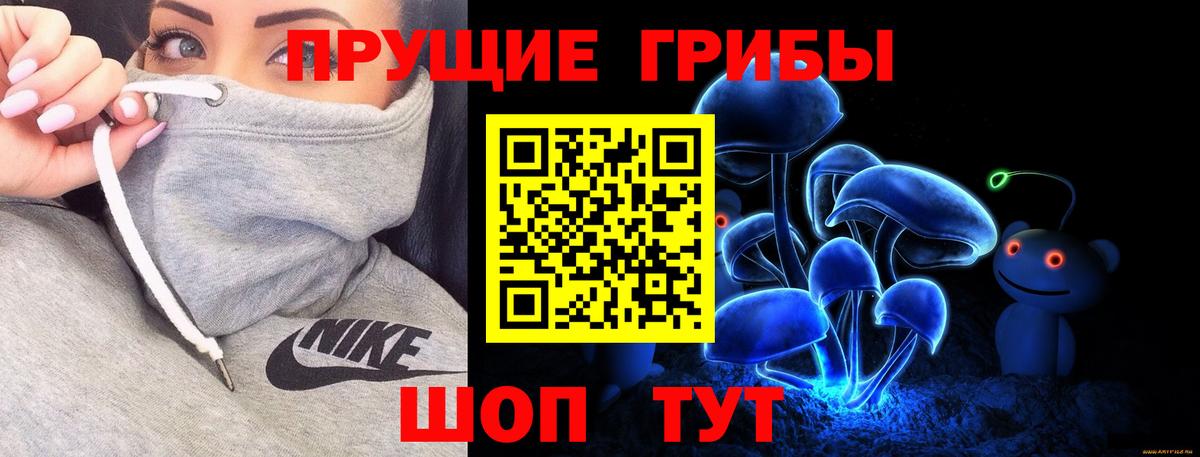 Галлюциногенные грибы Cubensis  Вход с VPN  Ефремов 